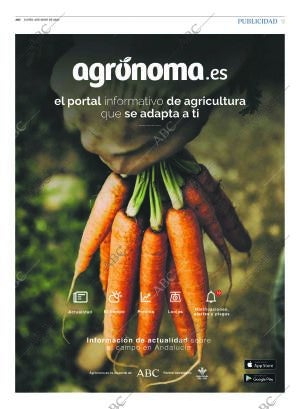 ABC SEVILLA 04-05-2020 página 9