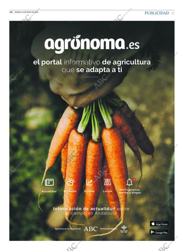 ABC SEVILLA 16-05-2020 página 11
