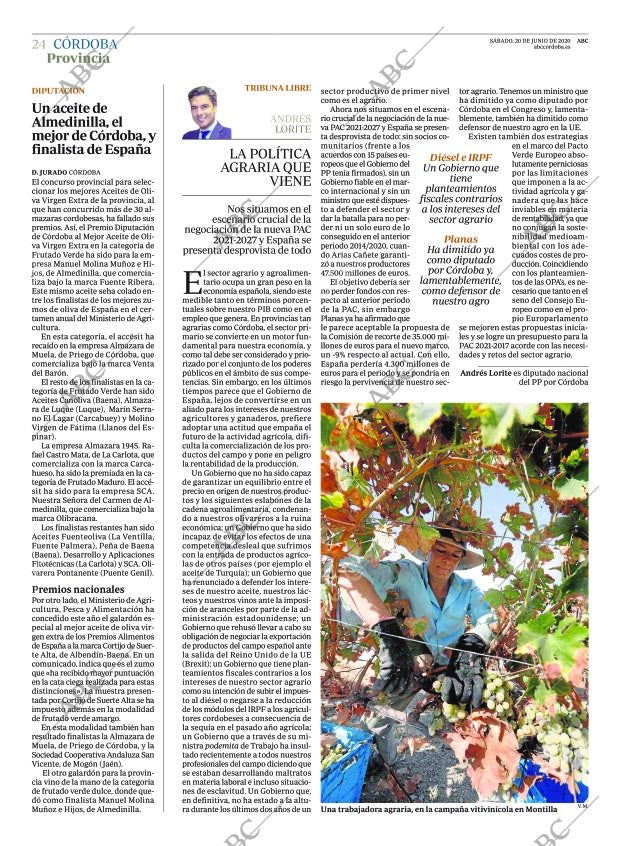 ABC CORDOBA 20-06-2020 página 24