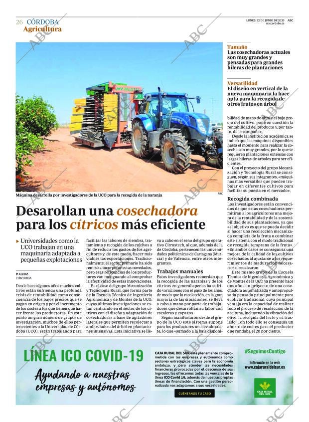 ABC CORDOBA 22-06-2020 página 26