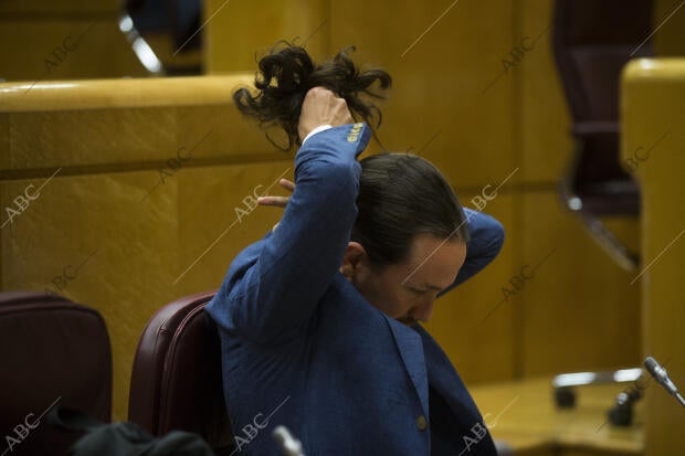 Sesión de control al gobierno en el Senado