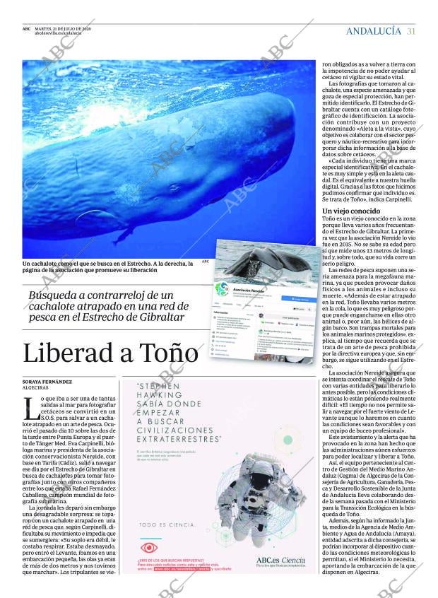 ABC CORDOBA 21-07-2020 página 31