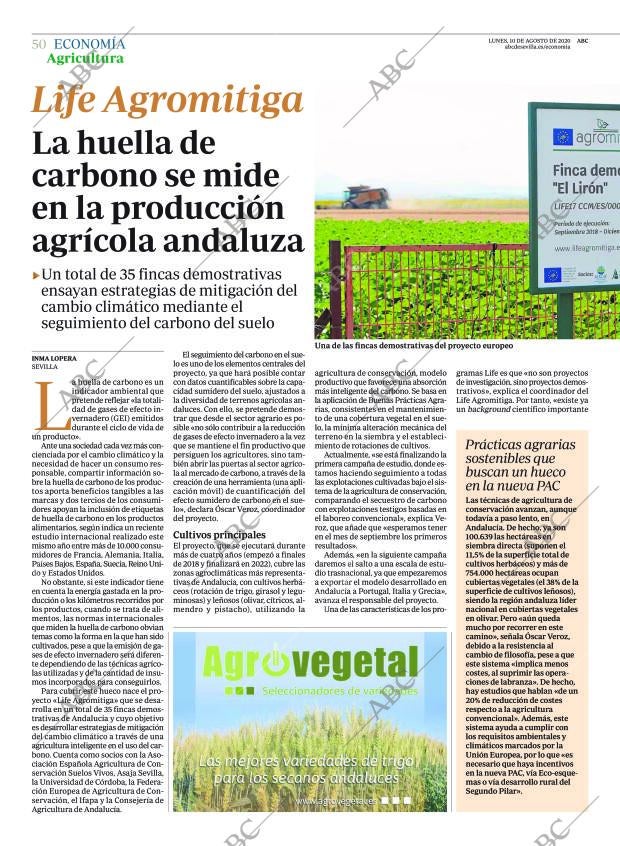 ABC SEVILLA 10-08-2020 página 50