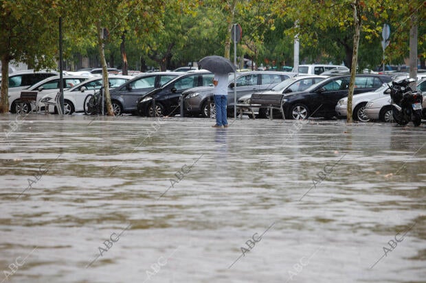 Lluvias y Tormentas