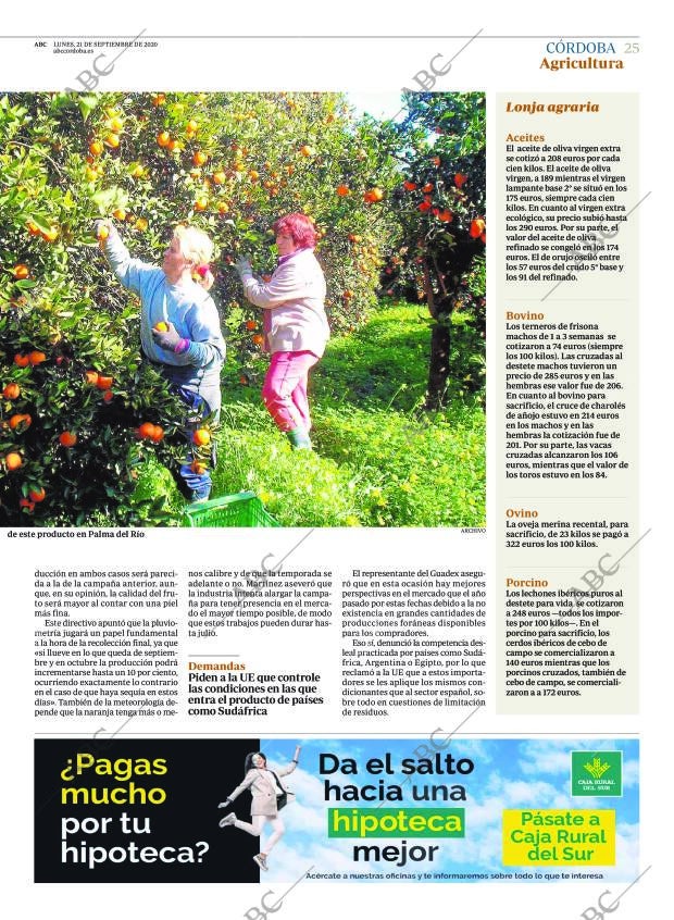 ABC CORDOBA 21-09-2020 página 25