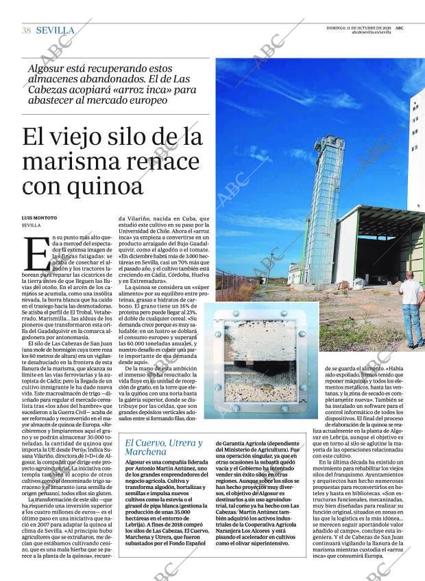 ABC SEVILLA 11-10-2020 página 38