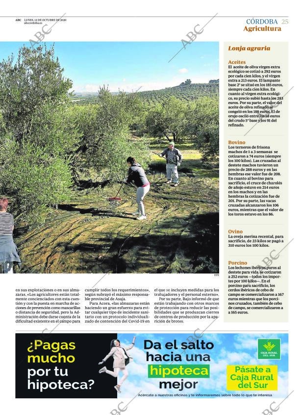 ABC CORDOBA 12-10-2020 página 25