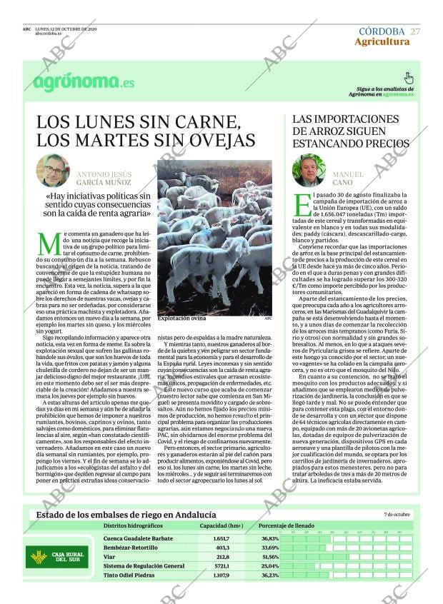 ABC CORDOBA 12-10-2020 página 27