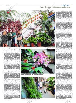 ABC CORDOBA 15-10-2020 página 23
