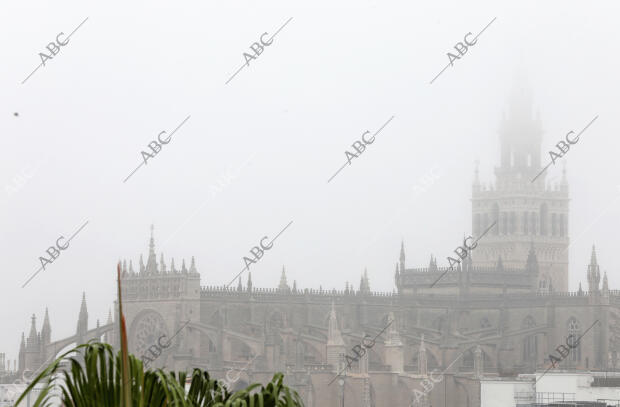 Mañana de niebla en Sevilla