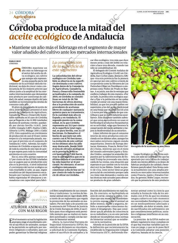 ABC CORDOBA 16-11-2020 página 24