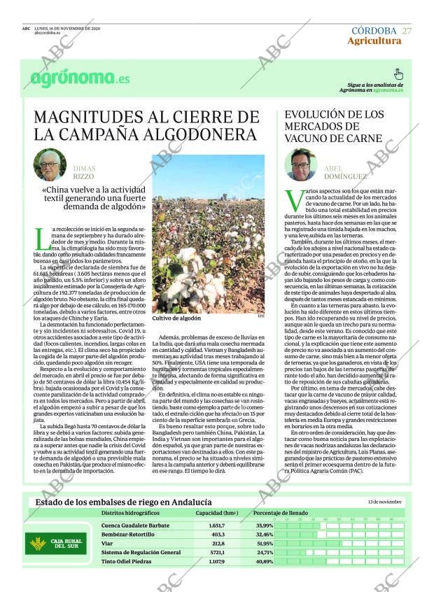 ABC CORDOBA 16-11-2020 página 27