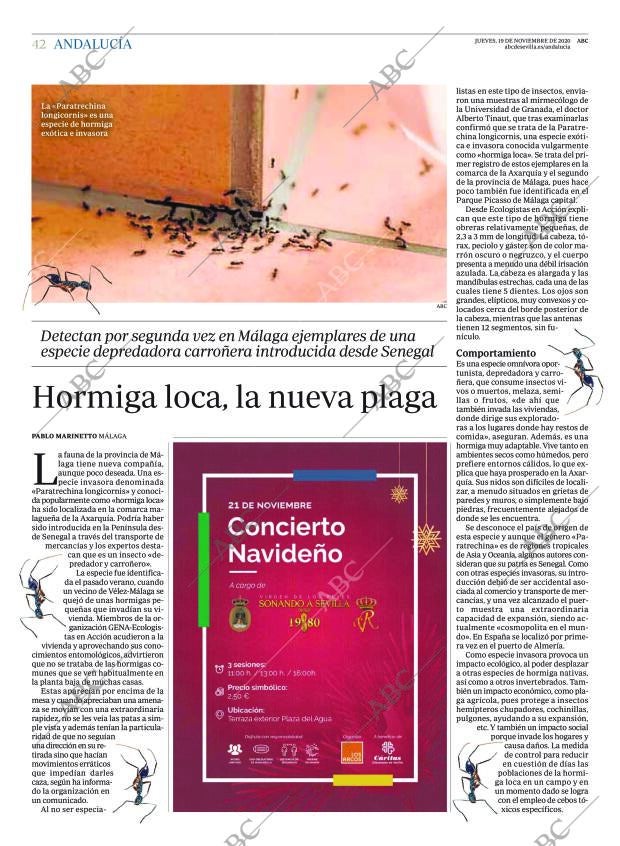 ABC SEVILLA 19-11-2020 página 42