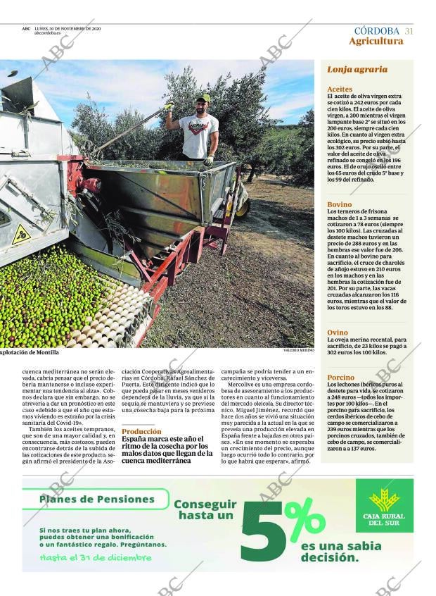 ABC CORDOBA 30-11-2020 página 31