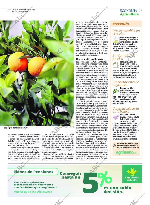 ABC SEVILLA 30-11-2020 página 75