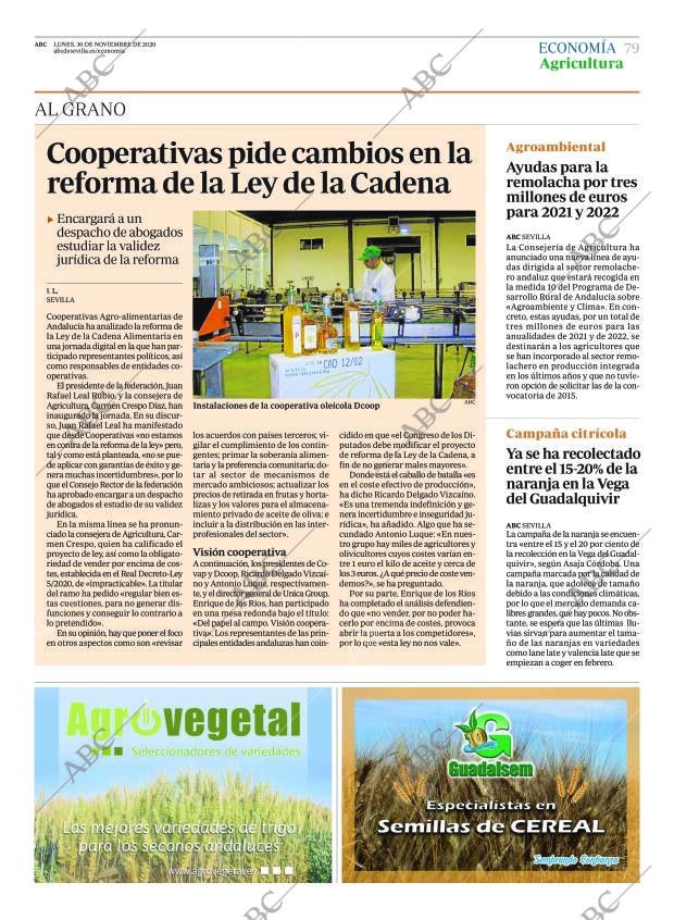 ABC SEVILLA 30-11-2020 página 79