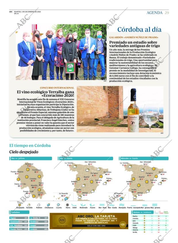 ABC CORDOBA 01-12-2020 página 29