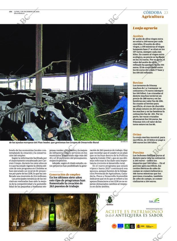 ABC CORDOBA 07-12-2020 página 23