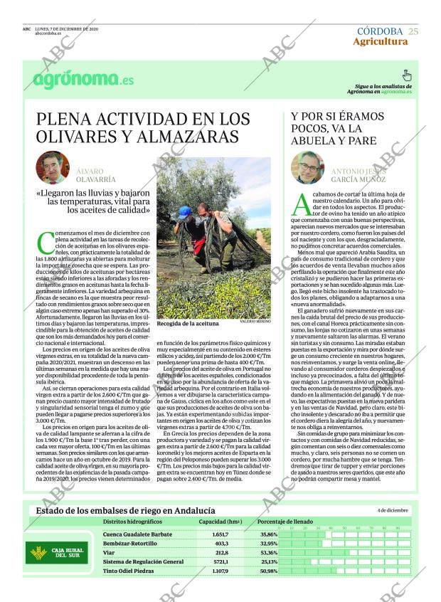 ABC CORDOBA 07-12-2020 página 25