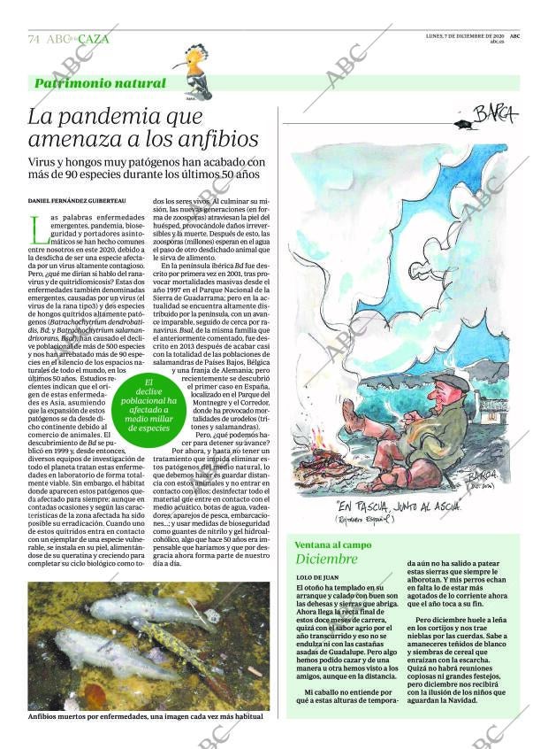 ABC CORDOBA 07-12-2020 página 74