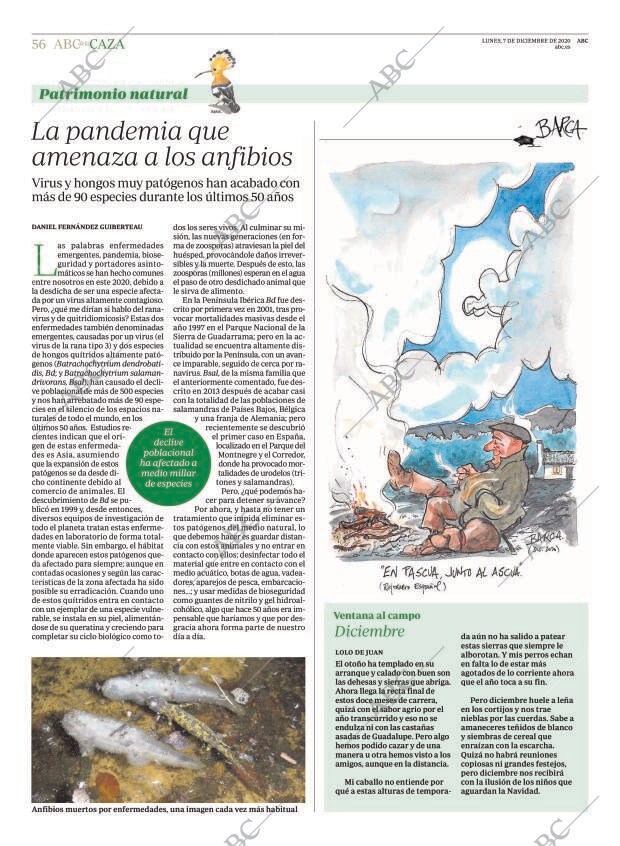 ABC MADRID 07-12-2020 página 56