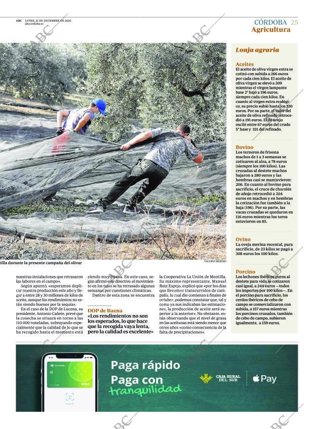 ABC CORDOBA 21-12-2020 página 25