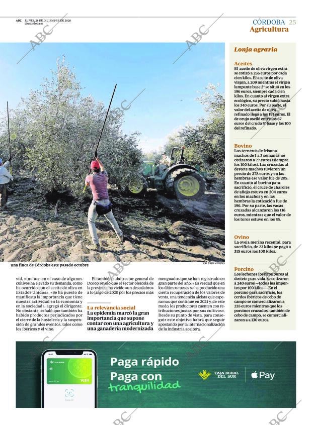 ABC CORDOBA 28-12-2020 página 25