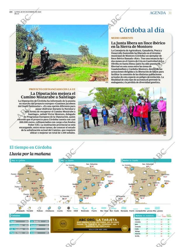ABC CORDOBA 28-12-2020 página 31