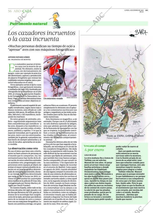 ABC MADRID 04-01-2021 página 56