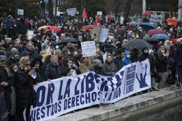 Manifestación de negacionistas del Covid