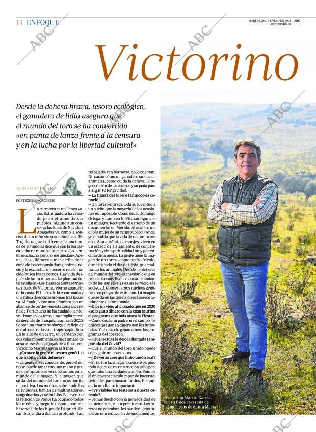 ABC SEVILLA 26-01-2021 página 14