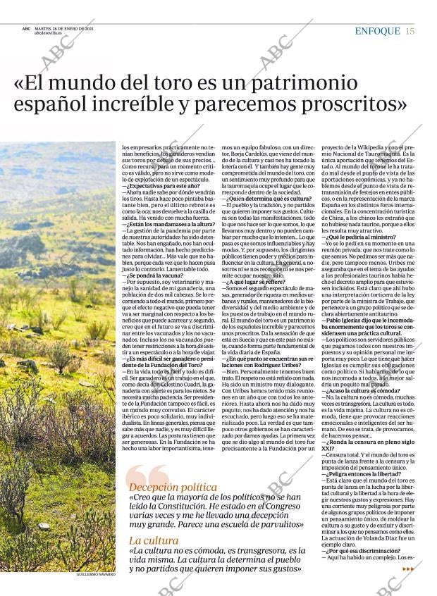 ABC SEVILLA 26-01-2021 página 15