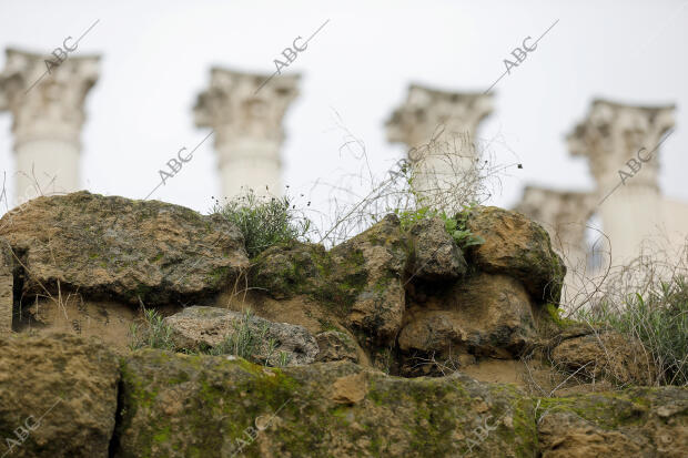 Templo Romano junto al ayuntamiento de Córdoba