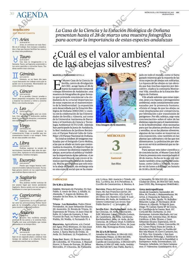 ABC SEVILLA 03-02-2021 página 30