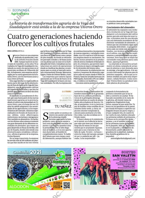 ABC SEVILLA 08-02-2021 página 70