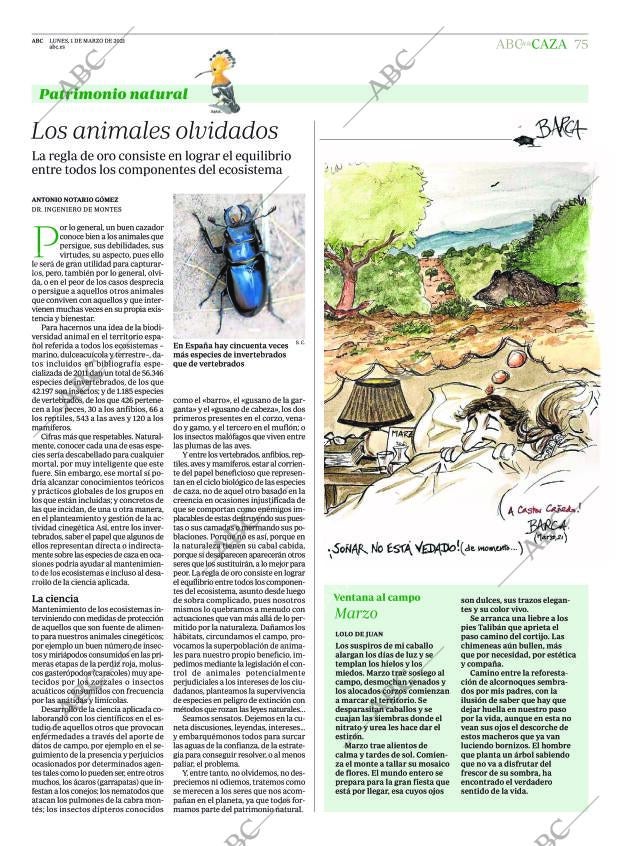 ABC CORDOBA 01-03-2021 página 75