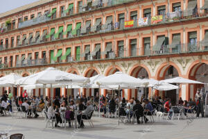 Veladores, terrazas y bares. Plaza de la Corredera