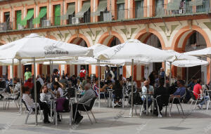 Veladores, terrazas y bares. Plaza de la Corredera