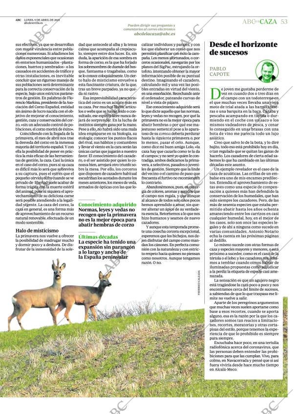 ABC SEVILLA 05-04-2021 página 53