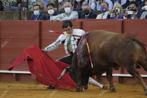 Corrida de toros de la Feria de San Miguel celebrada en La Maestranza, para los...