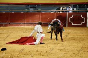 Toreros, Juan del Álamo, Román y José Garrido