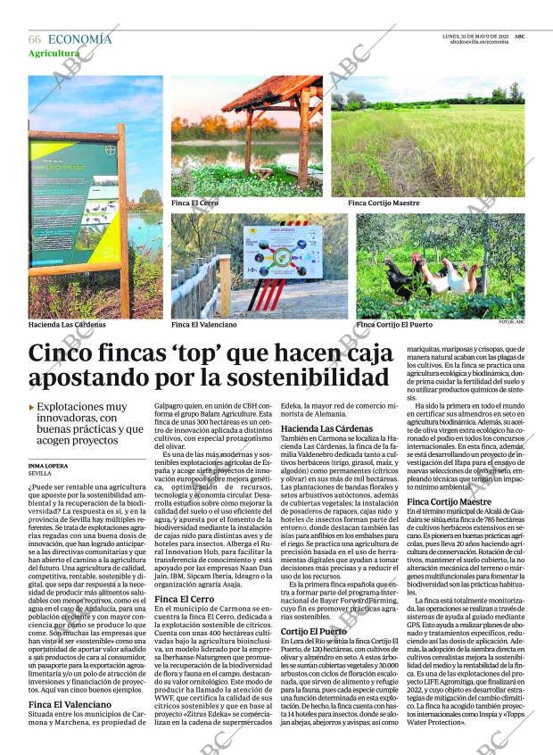 ABC SEVILLA 31-05-2021 página 66