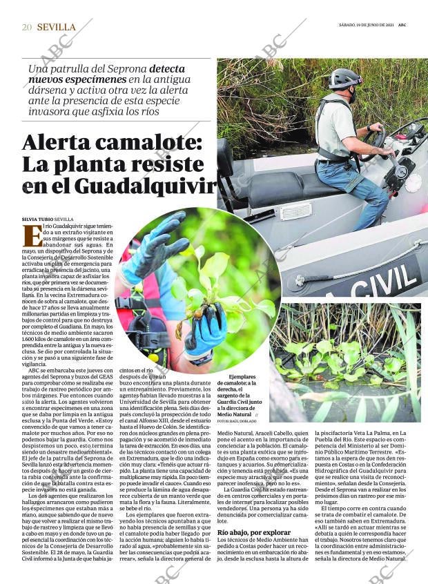 ABC SEVILLA 19-06-2021 página 20