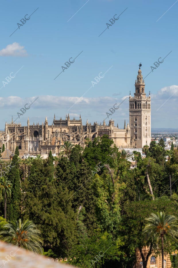 Vistas de Sevilla desde la Audiencia Provincial