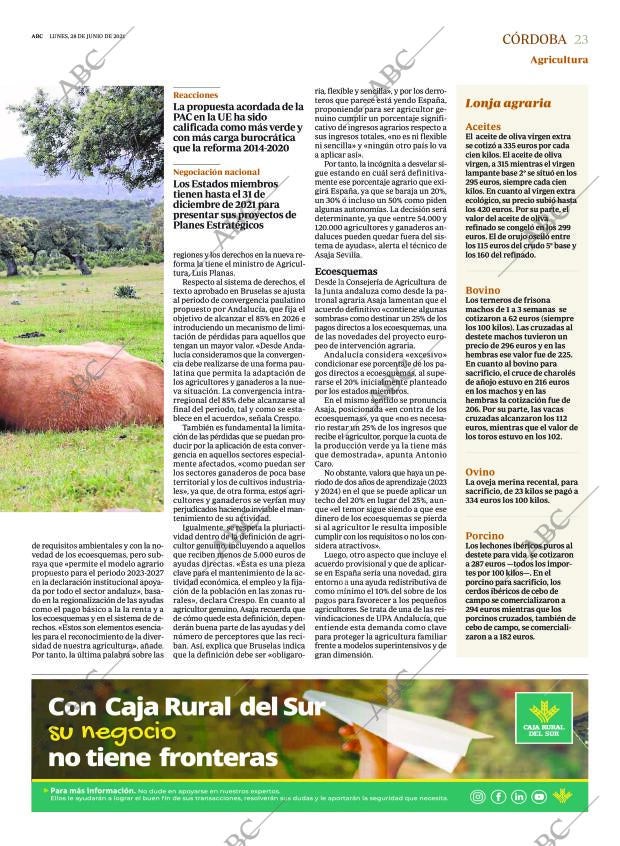 ABC CORDOBA 28-06-2021 página 23