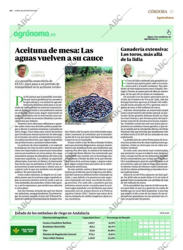 ABC CORDOBA 28-06-2021 página 25