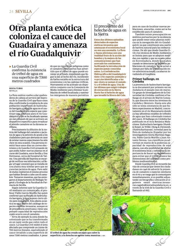 ABC SEVILLA 15-07-2021 página 24