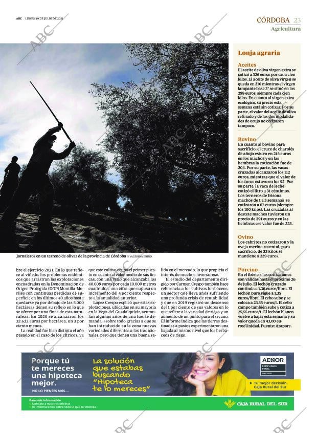 ABC CORDOBA 19-07-2021 página 23