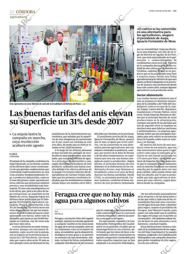 ABC CORDOBA 19-07-2021 página 24