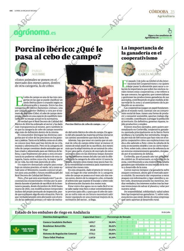 ABC CORDOBA 19-07-2021 página 25
